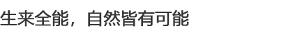 全能的视频制作软件