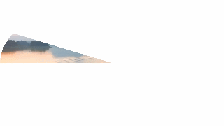 01.gif