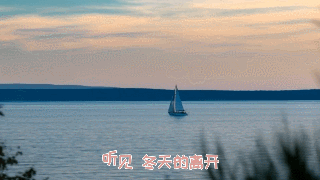 02.gif