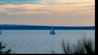 06.gif